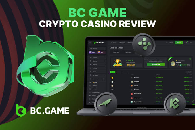 Understanding the BC.Game Login Process A Comprehensive Guide -237086354 Understanding the BC.Game Login Process A Comprehensive Guide -237086354